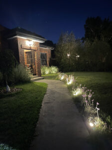 Our Work